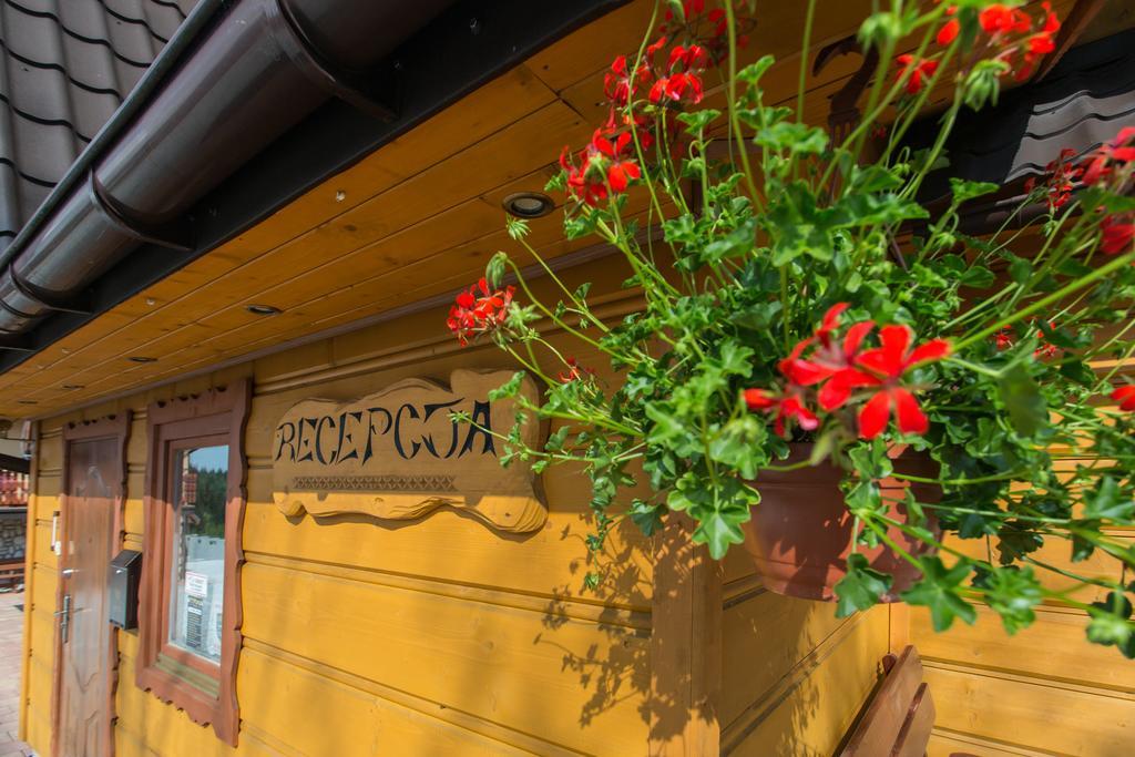 Willa Stachoniowka Zakopane Exteriör bild